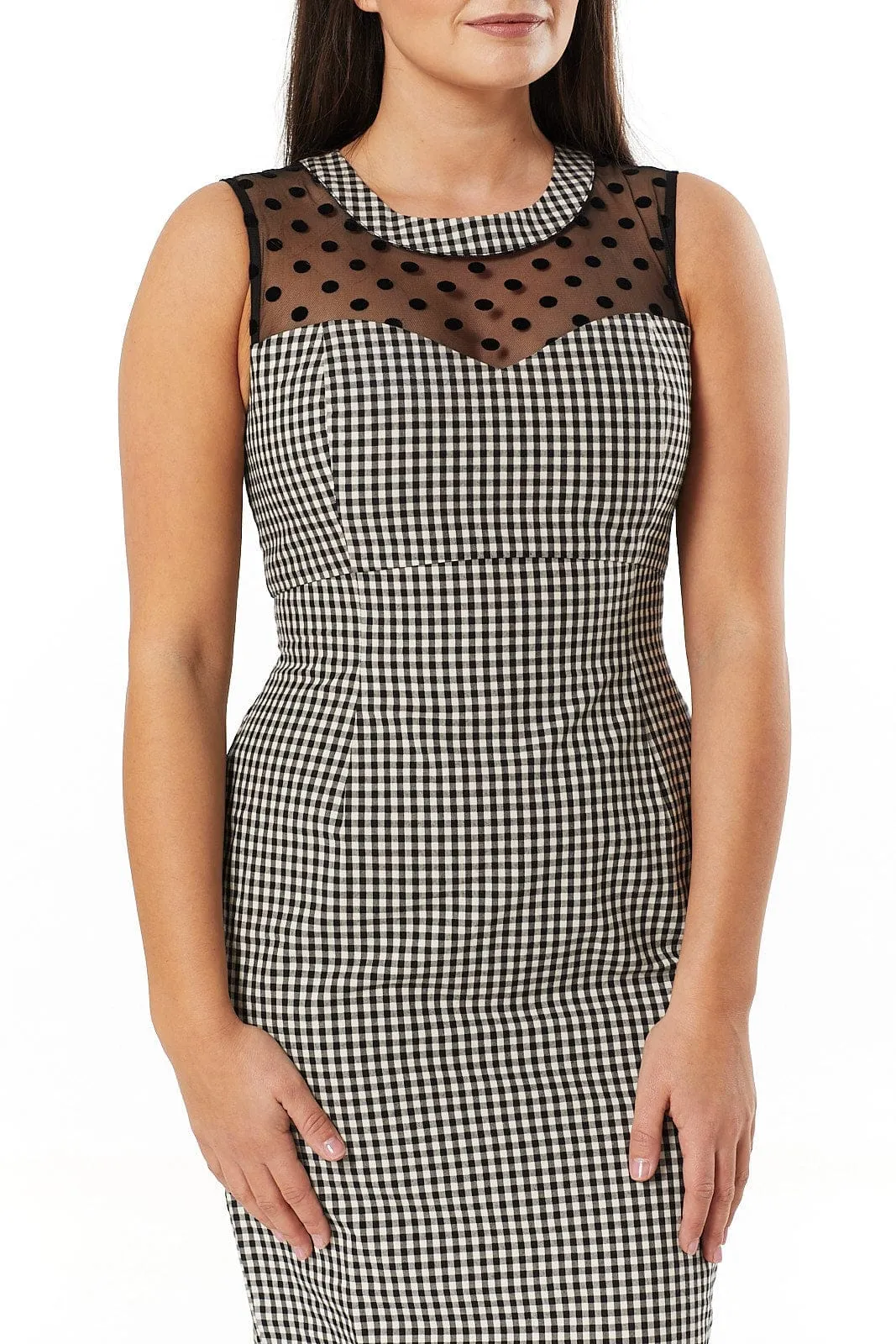 Erika Gingham Dress